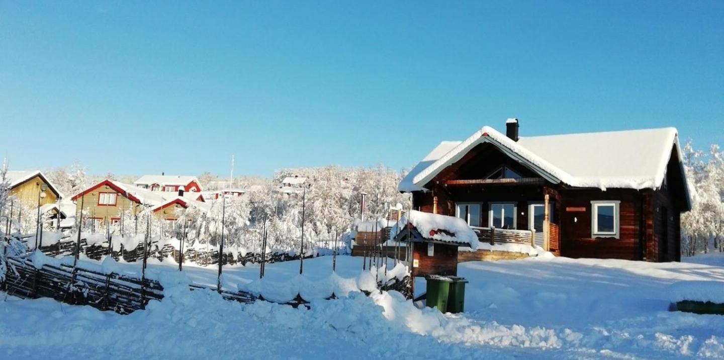 Cabin In Bruksvallarna المظهر الخارجي الصورة